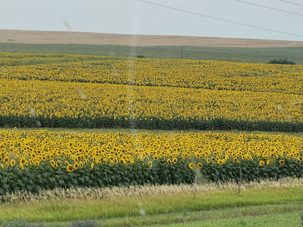 Lincoln, NE and Getting to SD